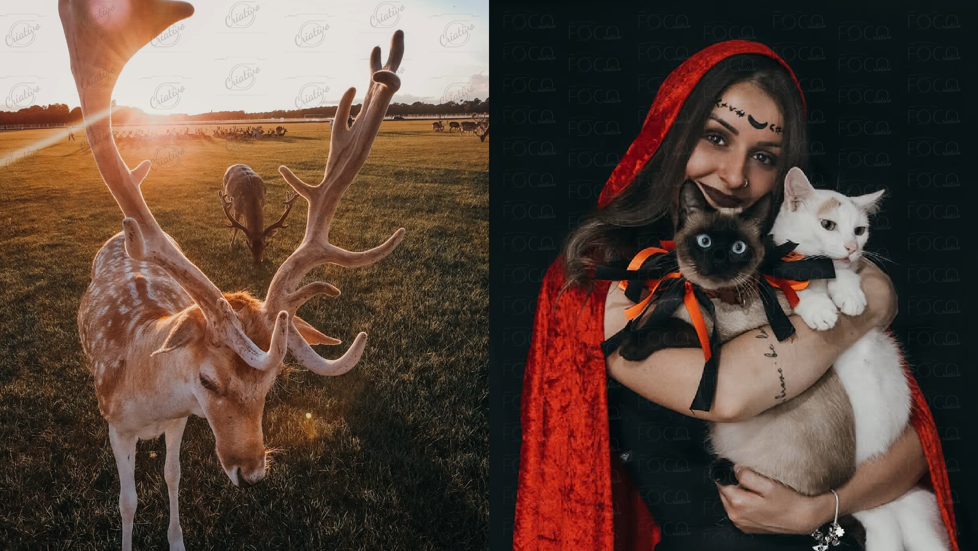 Foco Criativo - imagem 7