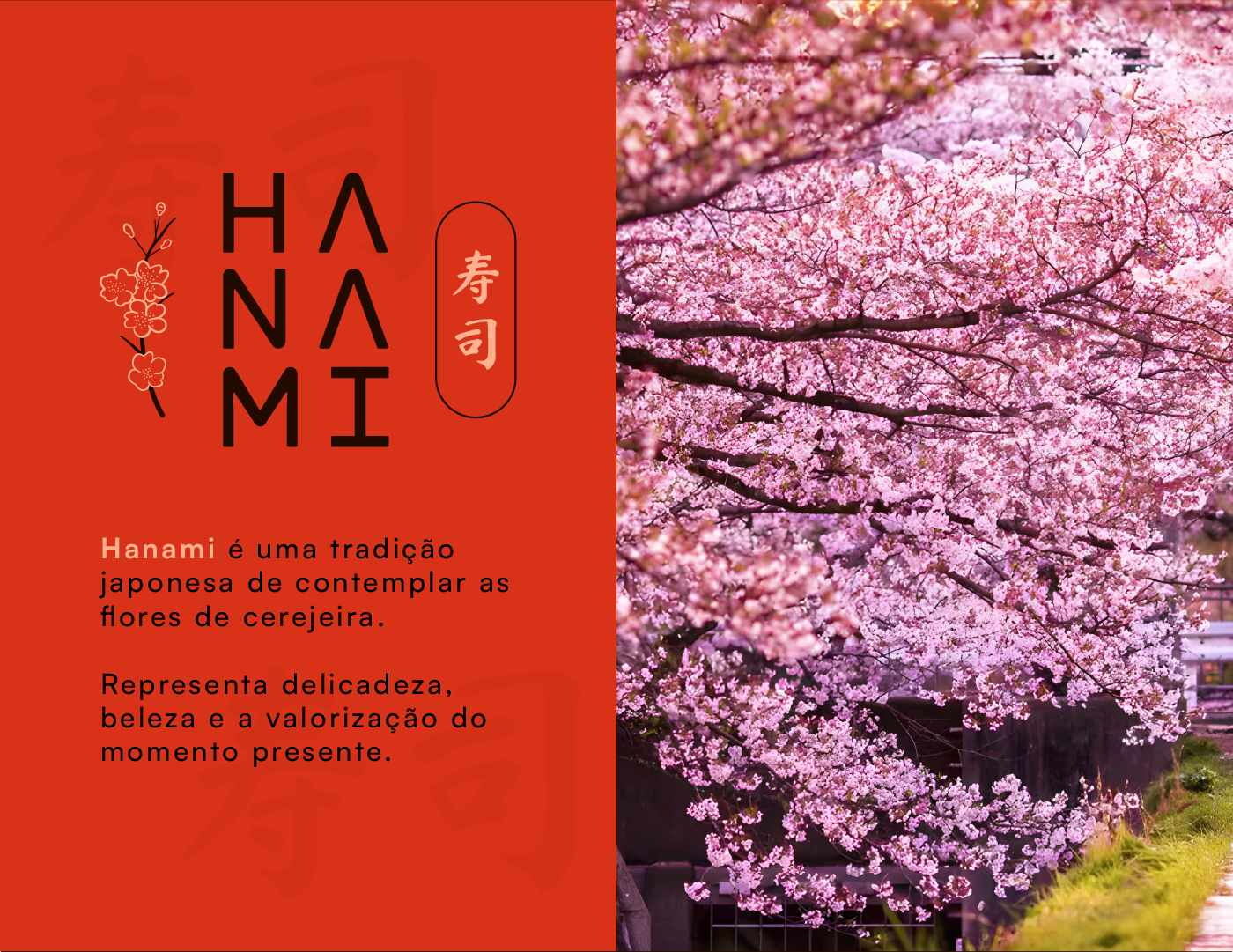 Hanami Sushi - imagem 5